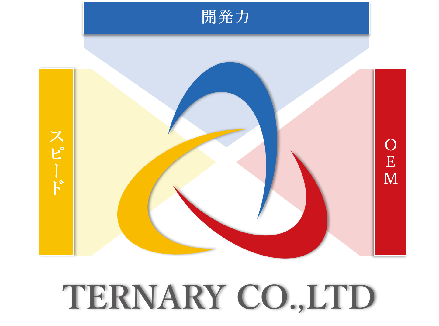 株式会社ターナリーの3つの強み